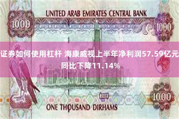 证券如何使用杠杆 海康威视上半年净利润57.59亿元 同比下降11.14%