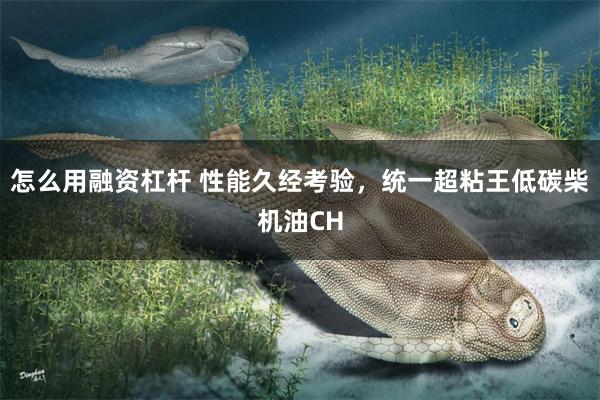 怎么用融资杠杆 性能久经考验，统一超粘王低碳柴机油CH