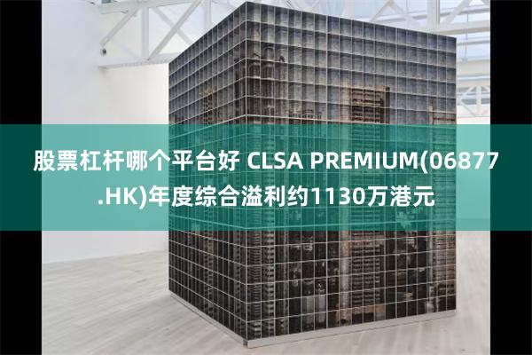 股票杠杆哪个平台好 CLSA PREMIUM(06877.HK)年度综合溢利约1130万港元