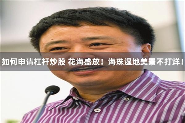 如何申请杠杆炒股 花海盛放！海珠湿地美景不打烊！