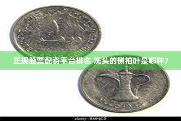 正规股票配资平台排名 洗头的侧柏叶是哪种？