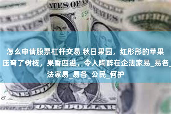 怎么申请股票杠杆交易 秋日果园，红彤彤的苹果挂满枝头，压弯了树枝，果香四溢，令人陶醉在企法家易_易各_公民_何护