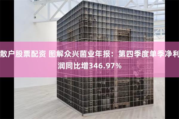 散户股票配资 图解众兴菌业年报：第四季度单季净利润同比增346.97%