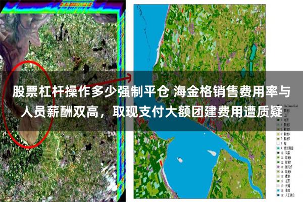 股票杠杆操作多少强制平仓 海金格销售费用率与人员薪酬双高，取现支付大额团建费用遭质疑
