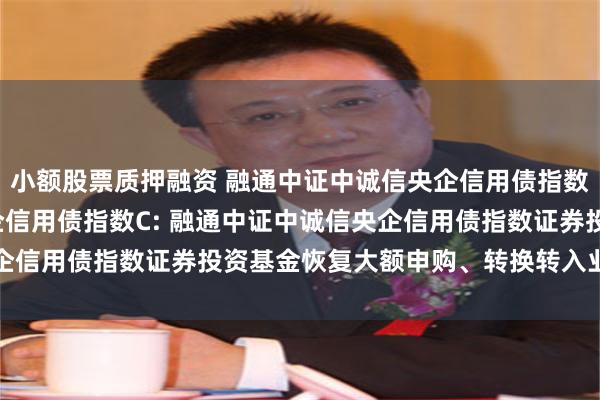小额股票质押融资 融通中证中诚信央企信用债指数A,融通中证中诚信央企信用债指数C: 融通中证中诚信央企信用债指数证券投资基金恢复大额申购、转换转入业务的公告