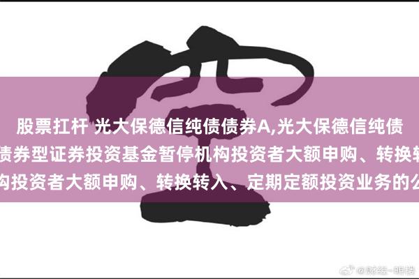 股票扛杆 光大保德信纯债债券A,光大保德信纯债债券C: 光大保德信纯债债券型证券投资基金暂停机构投资者大额申购、转换转入、定期定额投资业务的公告