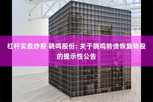 杠杆实盘炒股 晓鸣股份: 关于晓鸣转债恢复转股的提示性公告