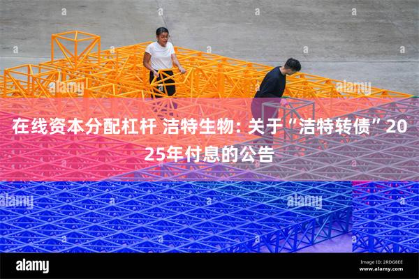 在线资本分配杠杆 洁特生物: 关于“洁特转债”2025年付息的公告