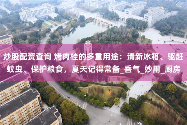 炒股配资查询 烤肉桂的多重用途：清新冰箱、驱赶蚊虫、保护粮食，夏天记得常备_香气_妙用_厨房