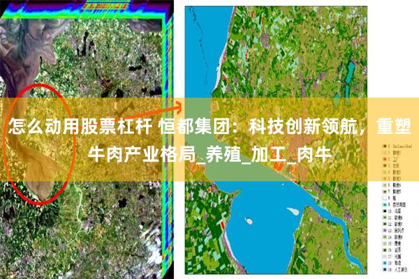 怎么动用股票杠杆 恒都集团：科技创新领航，重塑牛肉产业格局_养殖_加工_肉牛