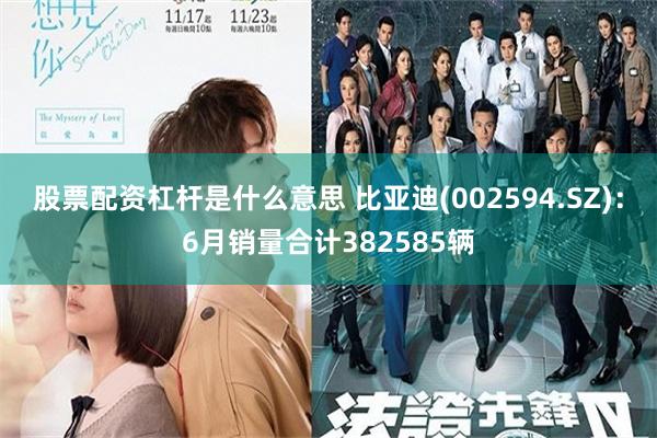股票配资杠杆是什么意思 比亚迪(002594.SZ)：6月销量合计382585辆