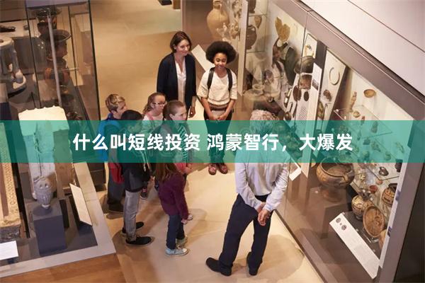 什么叫短线投资 鸿蒙智行，大爆发