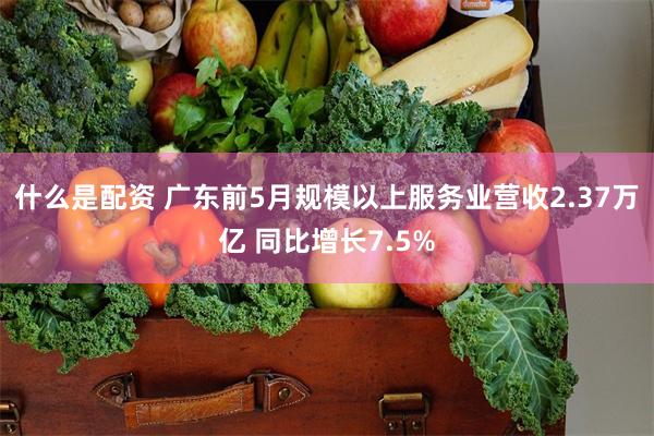 什么是配资 广东前5月规模以上服务业营收2.37万亿 同比增长7.5%
