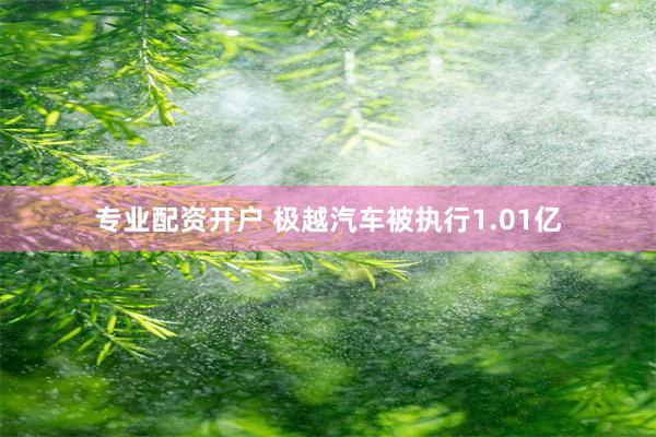 专业配资开户 极越汽车被执行1.01亿