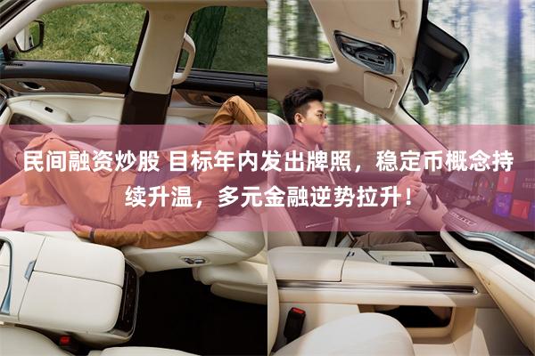 民间融资炒股 目标年内发出牌照，稳定币概念持续升温，多元金融逆势拉升！