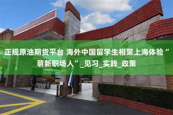 正规原油期货平台 海外中国留学生相聚上海体验“萌新职场人”_见习_实践_政策