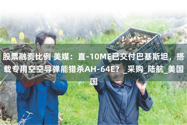 股票融资比例 美媒：直-10ME已交付巴基斯坦，搭载专用空空导弹能猎杀AH-64E？_采购_陆航_美国