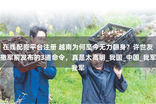 在线配资平台注册 越南为何至今无力翻身？许世友撤军前发布的3道命令，真是太高明_我国_中国_我军