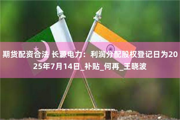 期货配资合法 长源电力：利润分配股权登记日为2025年7月14日_补贴_何再_王晓波