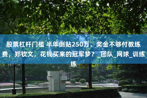 股票杠杆门槛 半年倒贴250万，奖金不够付教练费，郑钦文，花钱买来的冠军梦？_团队_网球_训练