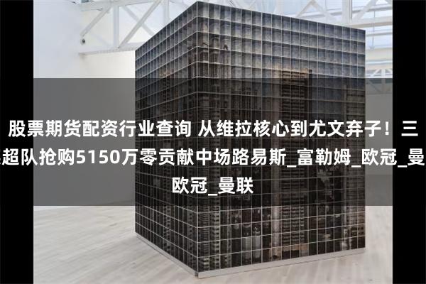 股票期货配资行业查询 从维拉核心到尤文弃子！三英超队抢购5150万零贡献中场路易斯_富勒姆_欧冠_曼联