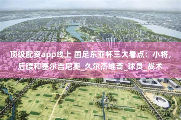 顶级配资app线上 国足东亚杯三大看点：小将，后腰和塞尔吉尼奥_久尔杰维奇_球员_战术