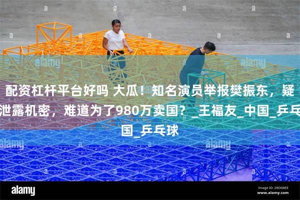 配资杠杆平台好吗 大瓜！知名演员举报樊振东，疑似泄露机密，难道为了980万卖国？_王福友_中国_乒乓球