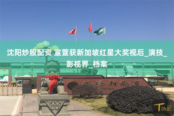 沈阳炒股配资 宣萱获新加坡红星大奖视后_演技_影视界_档案