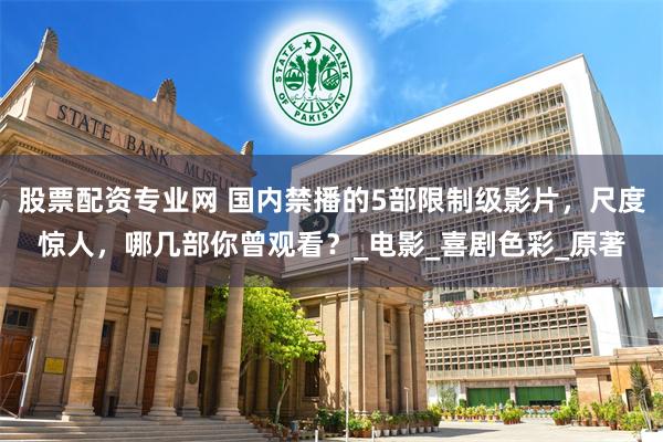 股票配资专业网 国内禁播的5部限制级影片，尺度惊人，哪几部你曾观看？_电影_喜剧色彩_原著