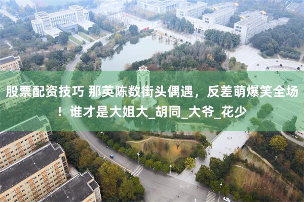 股票配资技巧 那英陈数街头偶遇，反差萌爆笑全场！谁才是大姐大_胡同_大爷_花少