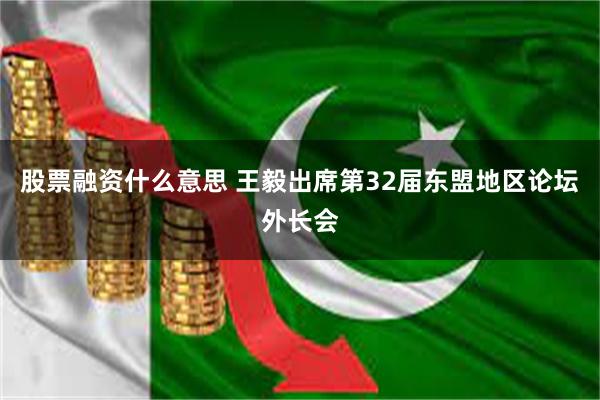 股票融资什么意思 王毅出席第32届东盟地区论坛外长会