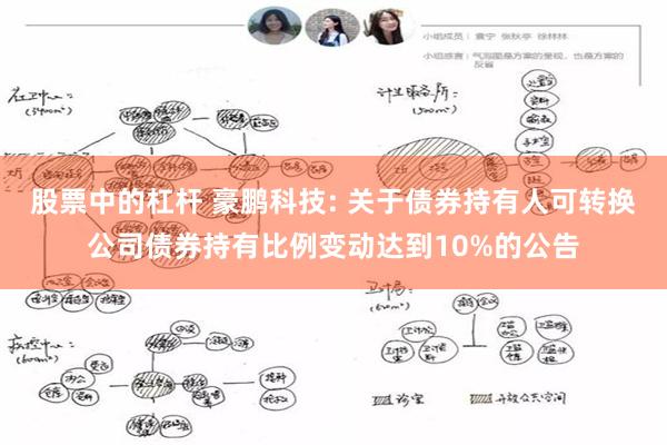 股票中的杠杆 豪鹏科技: 关于债券持有人可转换公司债券持有比例变动达到10%的公告
