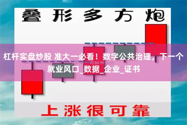 杠杆实盘炒股 准大一必看！数字公共治理，下一个就业风口_数据_企业_证书