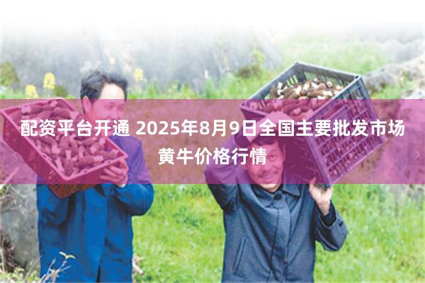 配资平台开通 2025年8月9日全国主要批发市场黄牛价格行情