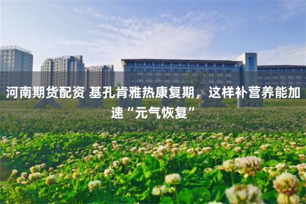 河南期货配资 基孔肯雅热康复期，这样补营养能加速“元气恢复”
