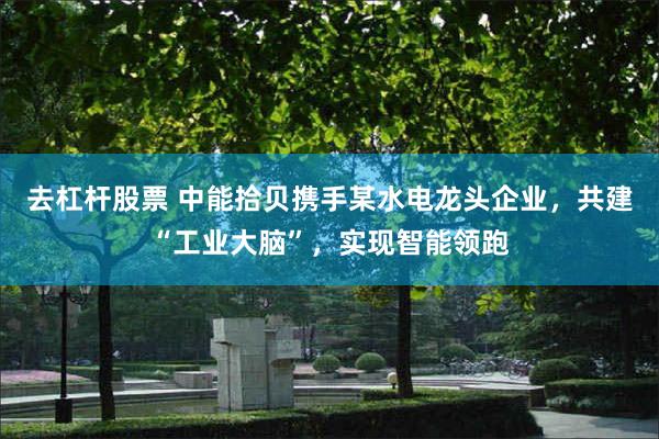 去杠杆股票 中能拾贝携手某水电龙头企业，共建“工业大脑”，实现智能领跑