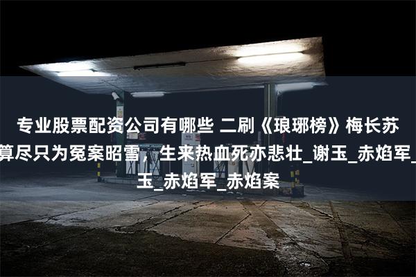 专业股票配资公司有哪些 二刷《琅琊榜》梅长苏：机关算尽只为冤案昭雪，生来热血死亦悲壮_谢玉_赤焰军_赤焰案
