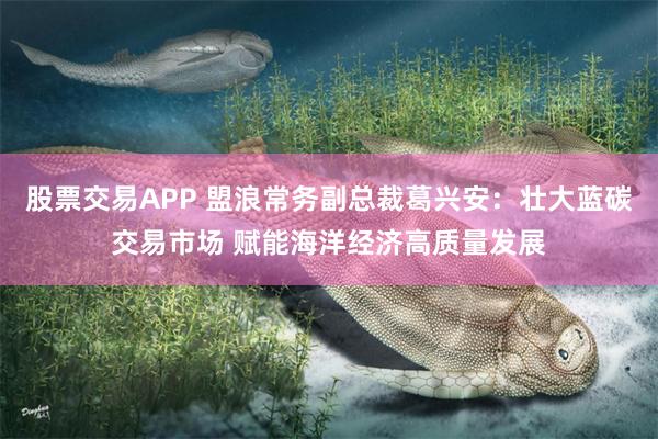 股票交易APP 盟浪常务副总裁葛兴安:壮大蓝碳交易市场 赋能海洋经济高质量发展