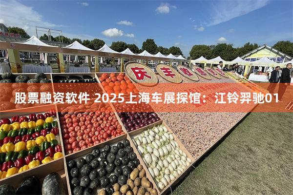 股票融资软件 2025上海车展探馆：江铃羿驰01