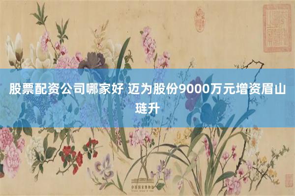 股票配资公司哪家好 迈为股份9000万元增资眉山琏升