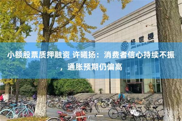 小额股票质押融资 许曦扬：消费者信心持续不振，通胀预期仍偏高