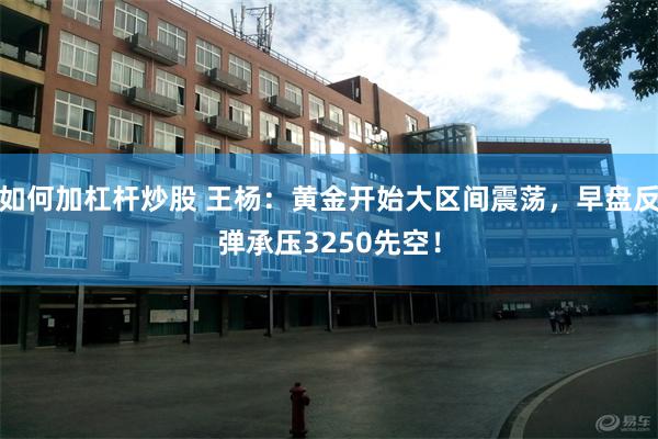 如何加杠杆炒股 王杨：黄金开始大区间震荡，早盘反弹承压3250先空！