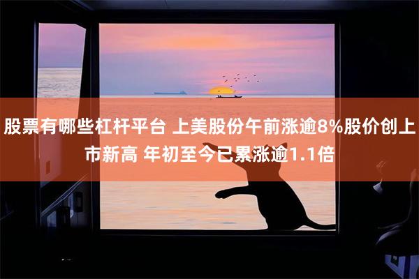 股票有哪些杠杆平台 上美股份午前涨逾8%股价创上市新高 年初至今已累涨逾1.1倍