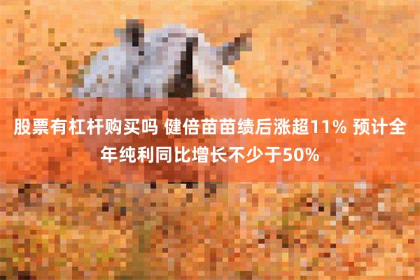 股票有杠杆购买吗 健倍苗苗绩后涨超11% 预计全年纯利同比增长不少于50%