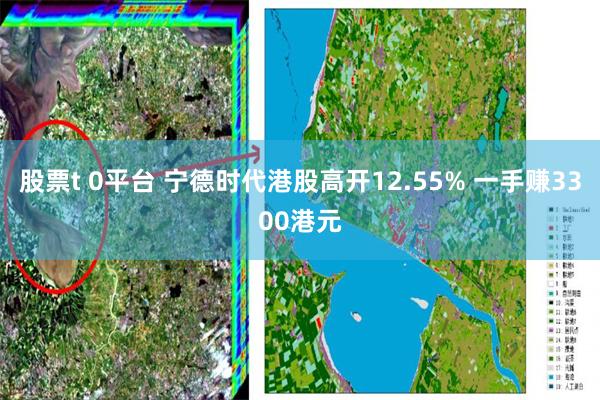 股票t 0平台 宁德时代港股高开12.55% 一手赚3300港元