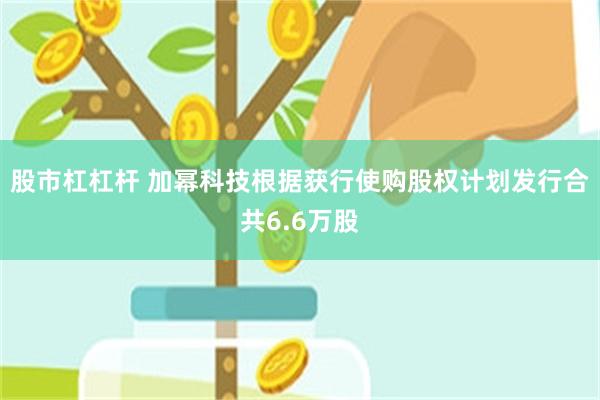 股市杠杠杆 加幂科技根据获行使购股权计划发行合共6.6万股