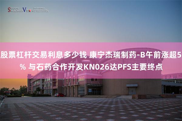 股票杠杆交易利息多少钱 康宁杰瑞制药-B午前涨超5% 与石药合作开发KN026达PFS主要终点