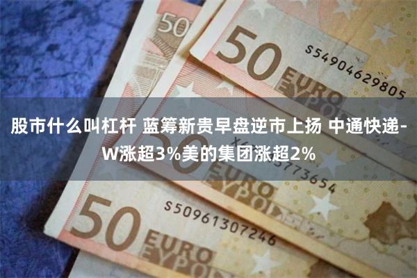 股市什么叫杠杆 蓝筹新贵早盘逆市上扬 中通快递-W涨超3%美的集团涨超2%