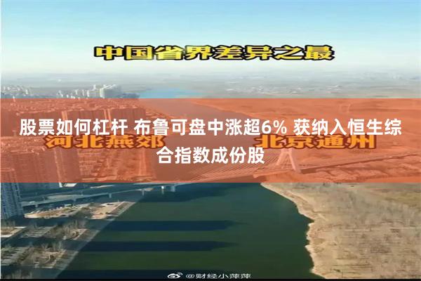 股票如何杠杆 布鲁可盘中涨超6% 获纳入恒生综合指数成份股