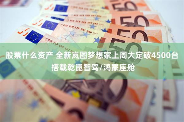 股票什么资产 全新岚图梦想家上周大定破4500台 搭载乾崑智驾/鸿蒙座舱